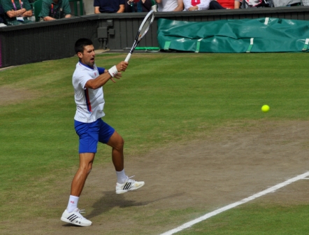 Djokovic