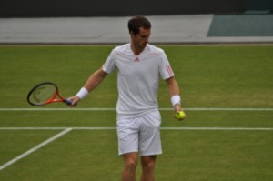 Murray