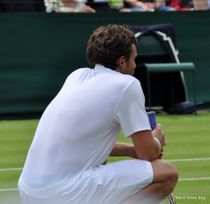 Gulbis (2)
