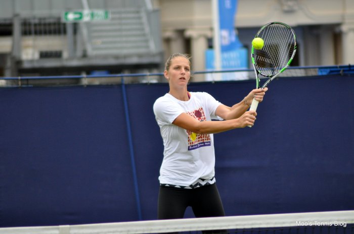 Pliskova (2)