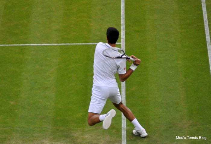 Djokovic (8)