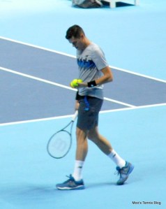 Raonic