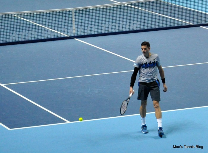 Raonic