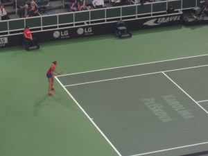 Pliskova
